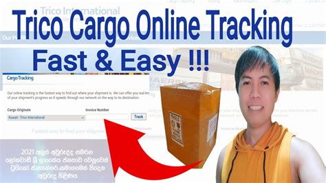 How To Track Cargo Online By Trico International Freight Fast .